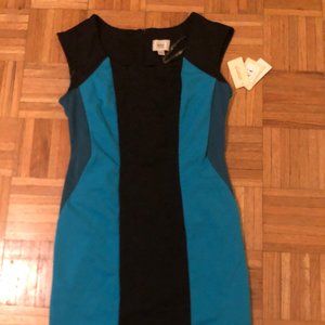 Multi Color Sheath Dress (10)